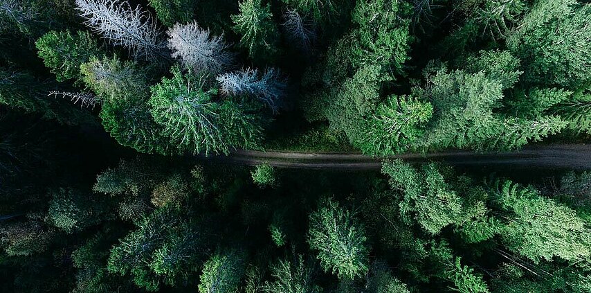 Photo by Geran de Klerk