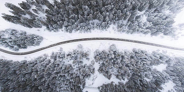 Bird eye’s view!, by Kimon Maritz