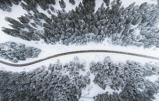 Bird eye’s view!, by Kimon Maritz